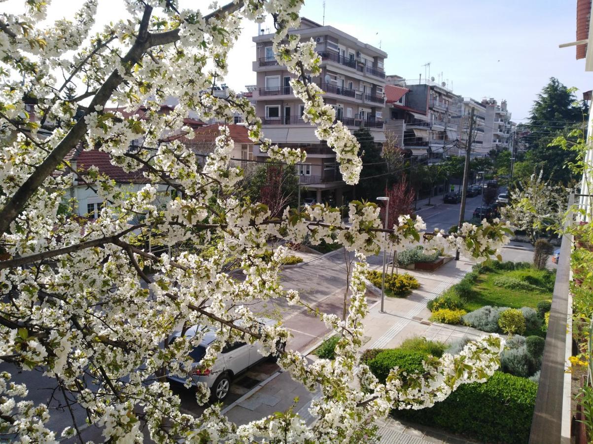 Olympia Hotel Edessa Eksteriør billede