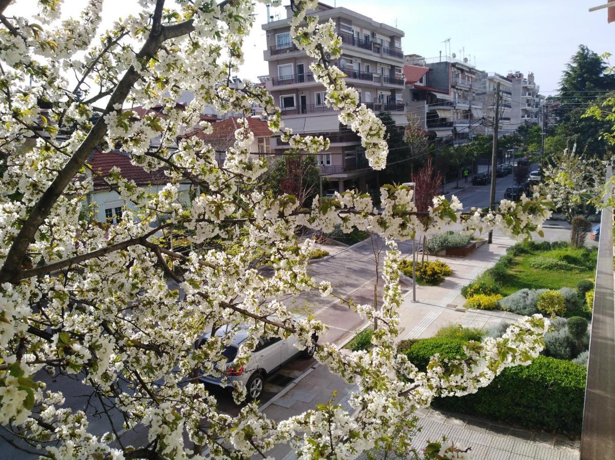 Olympia Hotel Edessa Eksteriør billede